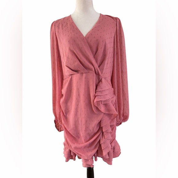 Express Dresses & Skirts - Express Blush Pink Long Sleeve Ruffle Mini lDress